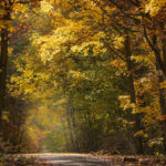Grunewald