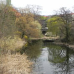 Tempelhof-Kynastteich
